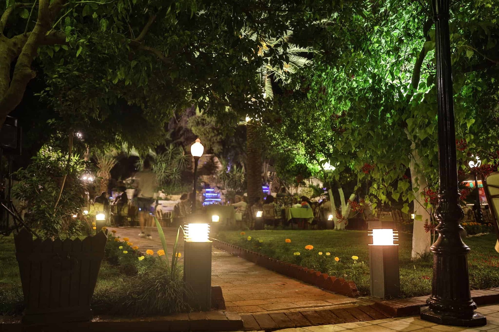 Dama Rose Hotel panoramic city view from property
